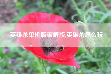 英雄杀单机版破解版,英雄杀怎么玩