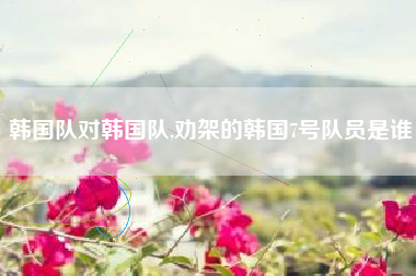 韩国队对韩国队,劝架的韩国7号队员是谁
