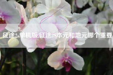 征途2s单机版,征途2S本元和地元哪个重要