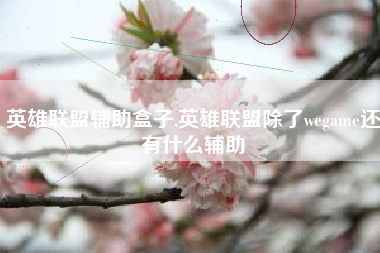 英雄联盟辅助盒子,英雄联盟除了wegame还有什么辅助