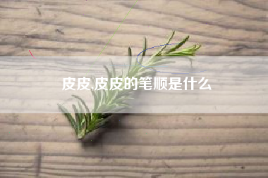 皮皮,皮皮的笔顺是什么