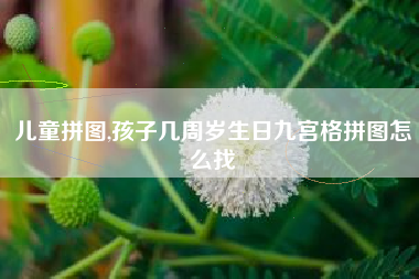 儿童拼图,孩子几周岁生日九宫格拼图怎么找