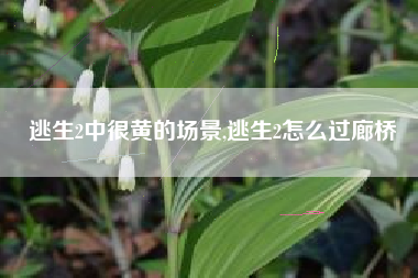 逃生2中很黄的场景,逃生2怎么过廊桥