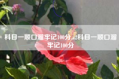 科目一顺口溜牢记100分,a2科目一顺口溜牢记100分