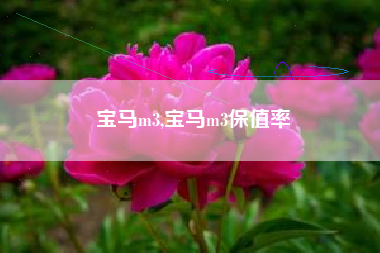 宝马m3,宝马m3保值率