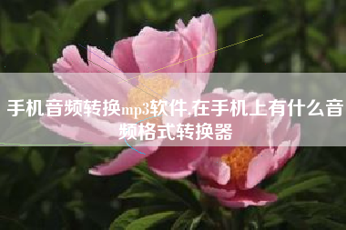 手机音频转换mp3软件,在手机上有什么音频格式转换器