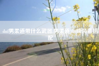 dnf男柔道带什么武器,男柔道110级装备搭配