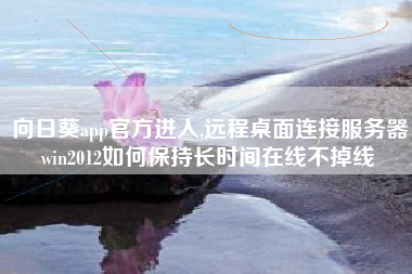 向日葵app官方进入,远程桌面连接服务器win2012如何保持长时间在线不掉线