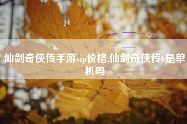 仙剑奇侠传手游vip价格,仙剑奇侠传6是单机吗
