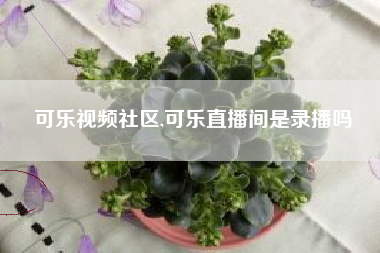 可乐视频社区,可乐直播间是录播吗