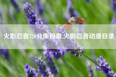 火影忍者720分集目录,火影忍者动漫目录