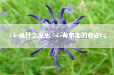 take是什么意思,Take有参加的意思吗