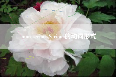 moreserious,Serious的动词形式
