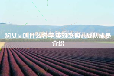 豹女lol叫什么名字,英雄联盟dk战队成员介绍