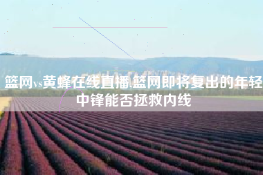 篮网vs黄蜂在线直播,篮网即将复出的年轻中锋能否拯救内线