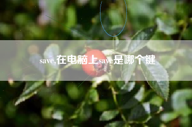 save,在电脑上save是哪个键