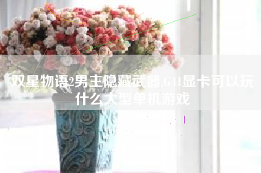 双星物语2男主隐藏武器,G41显卡可以玩什么大型单机游戏