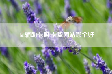 lol辅助卡盟,卡盟网站哪个好