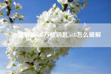 一键解锁wifi万能钥匙,wifi怎么破解