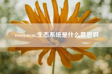 ecosystem,生态系统是什么意思啊