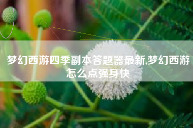 梦幻西游四季副本答题器最新,梦幻西游怎么点强身快