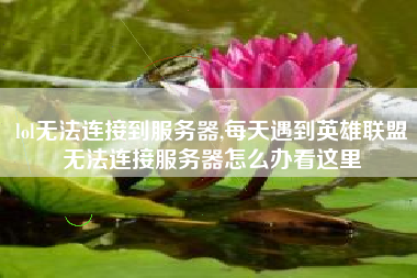 lol无法连接到服务器,每天遇到英雄联盟无法连接服务器怎么办看这里