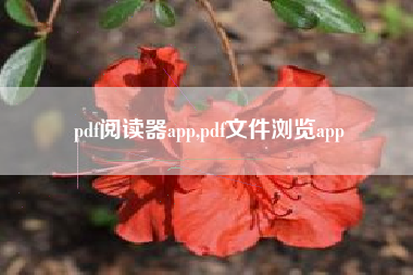 pdf阅读器app,pdf文件浏览app