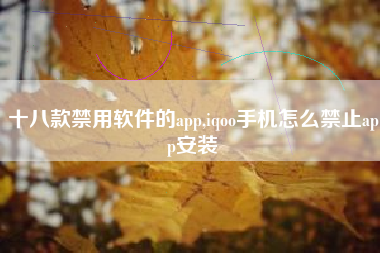 十八款禁用软件的app,iqoo手机怎么禁止app安装