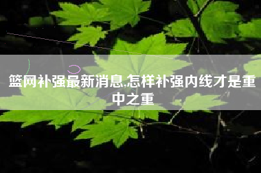 篮网补强最新消息,怎样补强内线才是重中之重