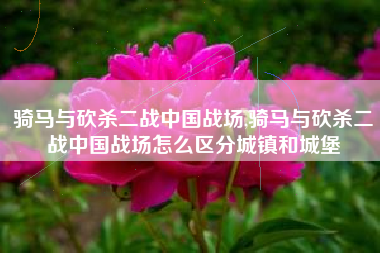 骑马与砍杀二战中国战场,骑马与砍杀二战中国战场怎么区分城镇和城堡