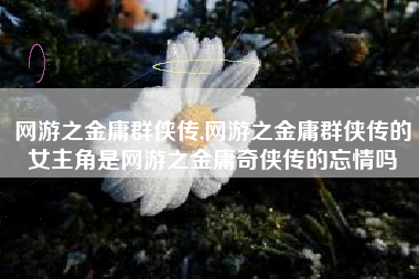 网游之金庸群侠传,网游之金庸群侠传的女主角是网游之金庸奇侠传的忘情吗