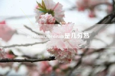 medium,medium是几分熟
