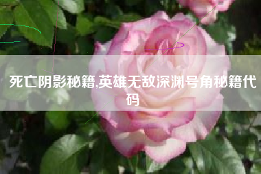 死亡阴影秘籍,英雄无敌深渊号角秘籍代码