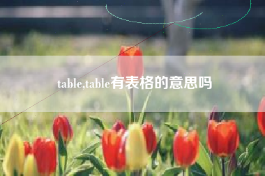 table,table有表格的意思吗