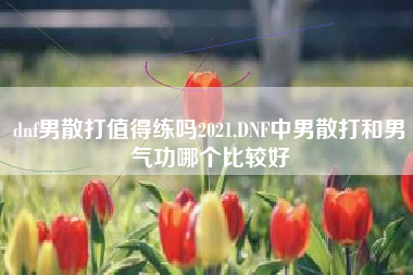dnf男散打值得练吗2021,DNF中男散打和男气功哪个比较好