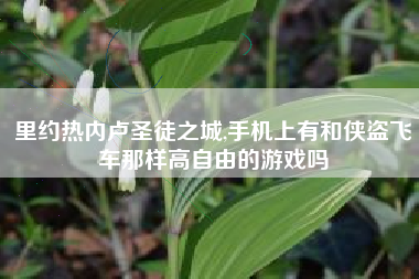 里约热内卢圣徒之城,手机上有和侠盗飞车那样高自由的游戏吗