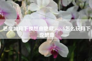 恶魔城月下夜想曲隐藏,switch怎么玩月下夜想曲