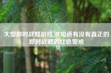 大型即时战略游戏,谁知道有没有真正的即时战略的红色警戒