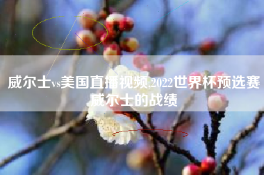 威尔士vs美国直播视频,2022世界杯预选赛威尔士的战绩