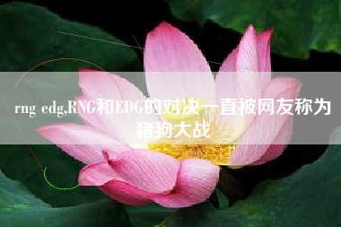 rng edg,RNG和EDG的对决一直被网友称为猪狗大战