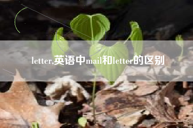 letter,英语中mail和letter的区别