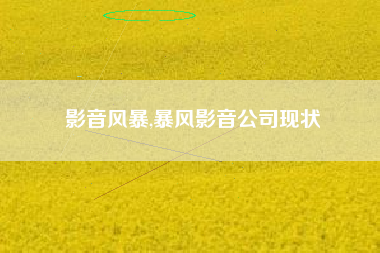 影音风暴,暴风影音公司现状