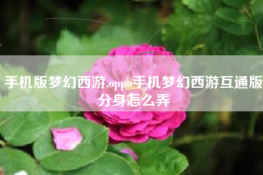 手机版梦幻西游,oppo手机梦幻西游互通版分身怎么弄