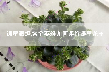 铸星泰坦,各个英雄如何评价铸星龙王