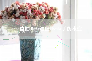 dopa直播,Dopa透露Theshy手伤未愈
