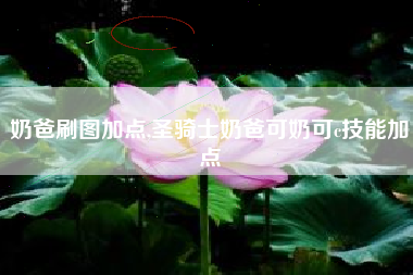 奶爸刷图加点,圣骑士奶爸可奶可c技能加点