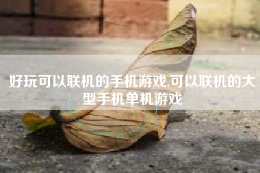 好玩可以联机的手机游戏,可以联机的大型手机单机游戏
