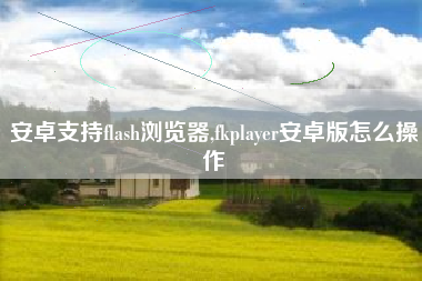 安卓支持flash浏览器,fkplayer安卓版怎么操作