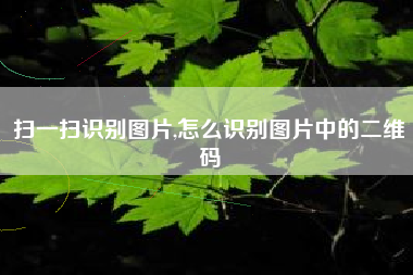 扫一扫识别图片,怎么识别图片中的二维码