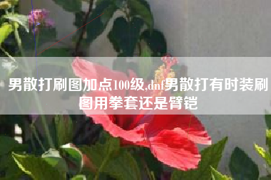 男散打刷图加点100级,dnf男散打有时装刷图用拳套还是臂铠